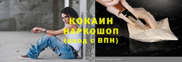 сатива Пересвет