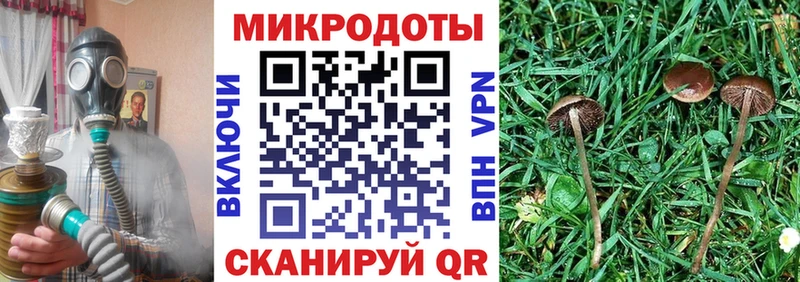 Галлюциногенные грибы ЛСД  где купить наркоту  Карасук 